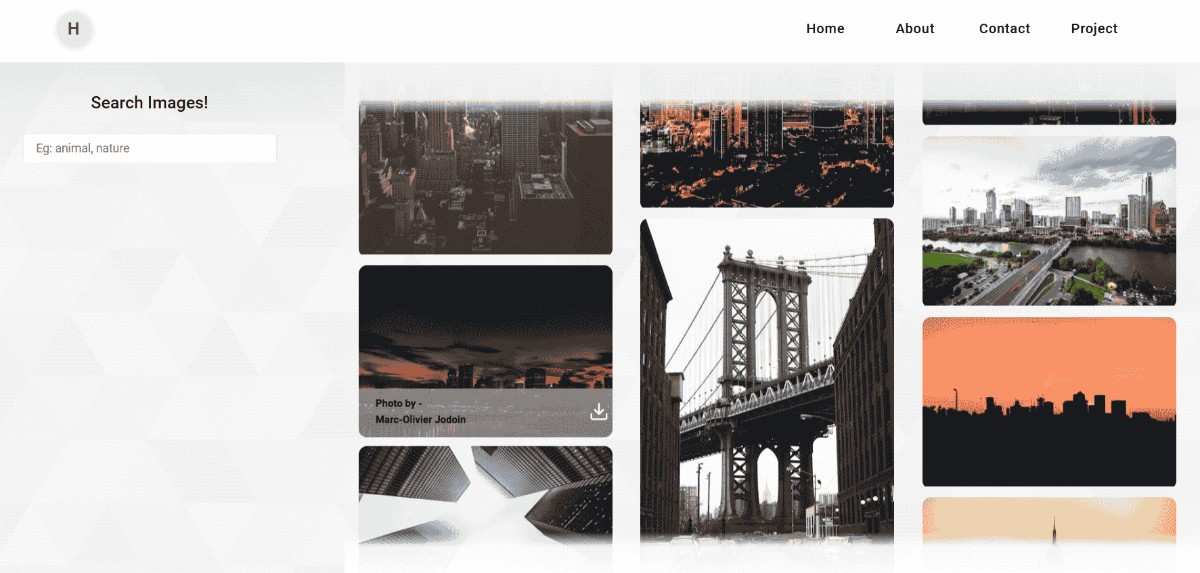 Find any image